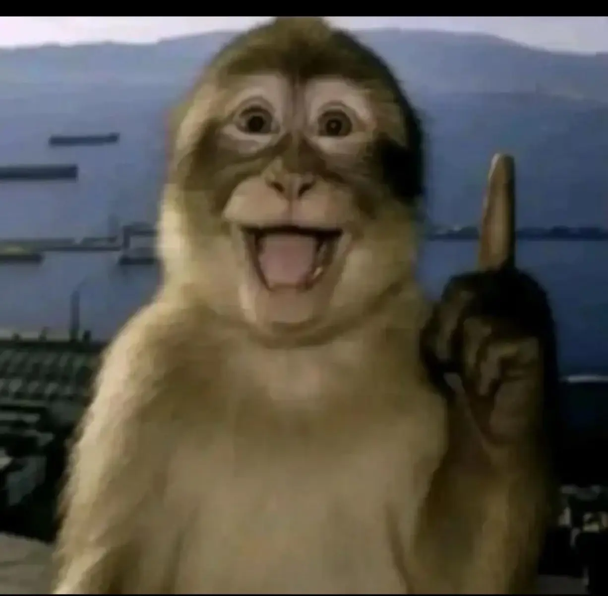 Meme tôi tìm được trên mạng#thinkingmonkey #monkey 