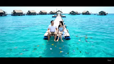 Loài cá nào trên thế giới biết khóc 🤩