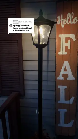 Replying to @ChelseysCollectedWorks97 #solarlightsoutdoor #solarlightplanter #yarddecor #porchdecor 