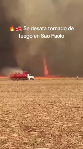 🔥🚒 Se desata tornado de fuego en Sao Paulo La escena se registró el 11 de septiembre en un campo de cultivo de caña de azúcar. Autoridades informaron que el torbellino, que duró unos diez minutos con intervalos, es un fenómeno poco común que ocurre durante incendios intensos y con presencia de viento. Síguenos en PSExpress #noticias #incendio #tornado