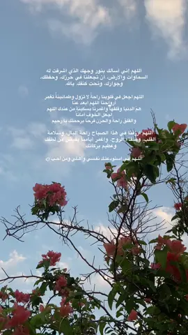 أذكار الصباح تأنسُ بها الروح وتطمئن بها النفس#اذكروا_الله #‏سُبحان مَن تنفَّس الصُّبح بِأمرِهِ، وتوزَّعتِ الأرزَاق بِفَضلِهِ اللهمَّ بِكَ أصبَحنا وعليكَ توكلنَا وأنتَ خيرُ الحافظين #♡ #يارب❤️ #creatorsearchinsights 