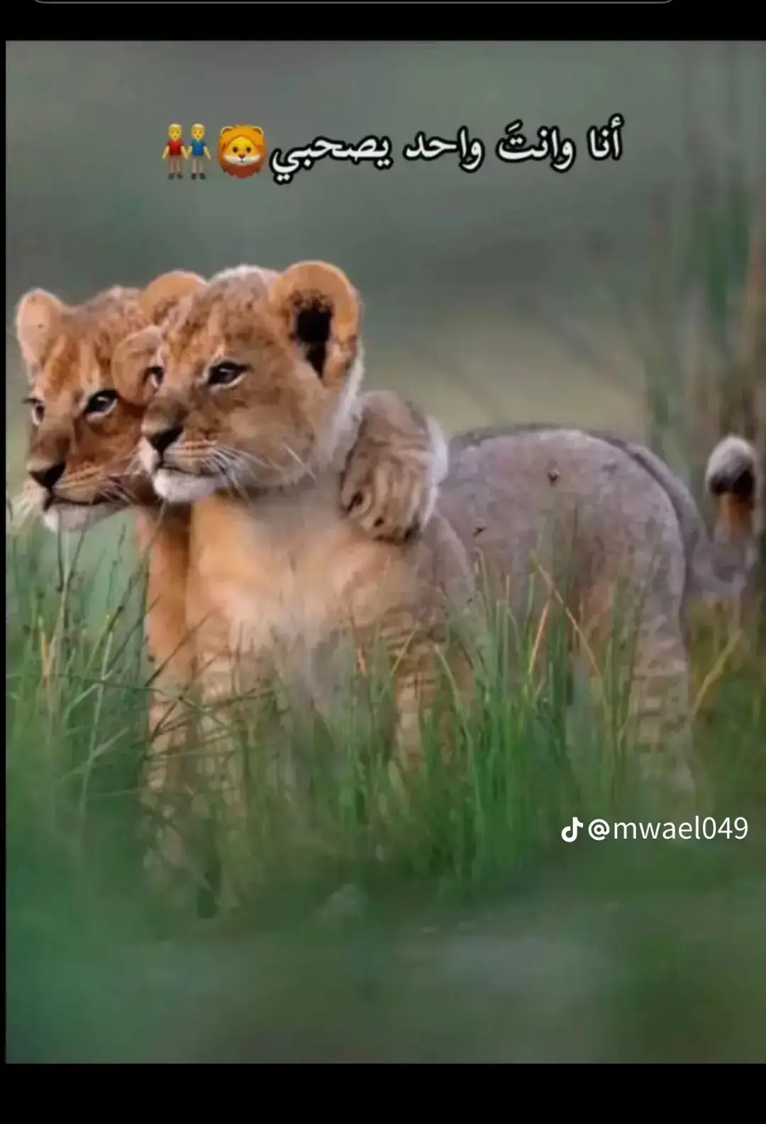 @𝐑𝐀ّ𝐙𝐈𝐍 @﮼بوله🦁 @﮼بوله🦁 