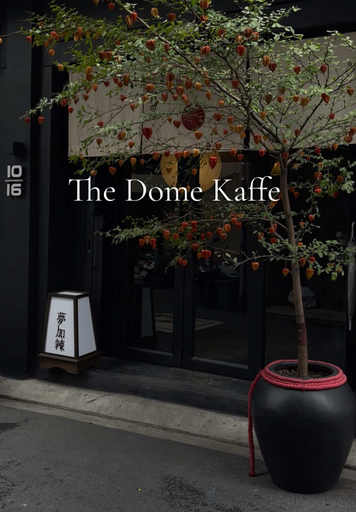 Lồng đèn trên cây cùng DOME 🍃 #thedomekaffe #saigon #phunhuan #coffeesaigon #trungthu 