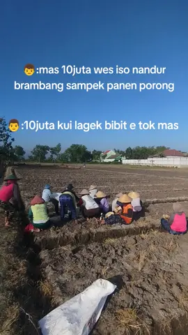 jann ndak umomm#bawangmerahnganjuk#juraganmudapunyacerita#fyppppppppppppppppppppppp 