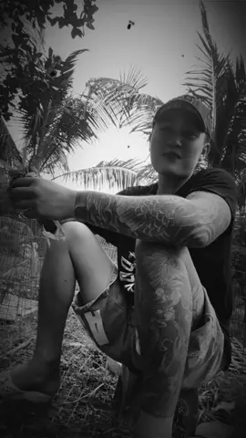 Y vậy nha mấy ae