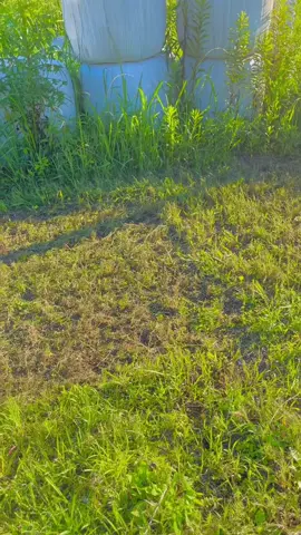 来年の夏も、この雰囲気がいいな〜。