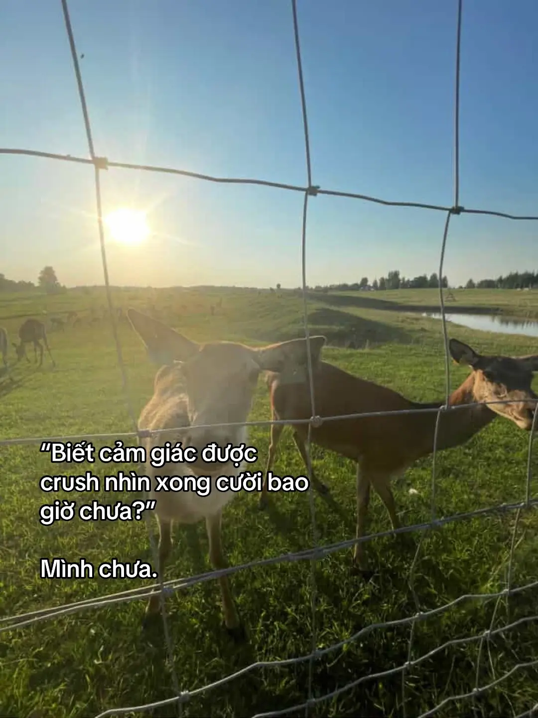 #xuhuong #tiktok #content 