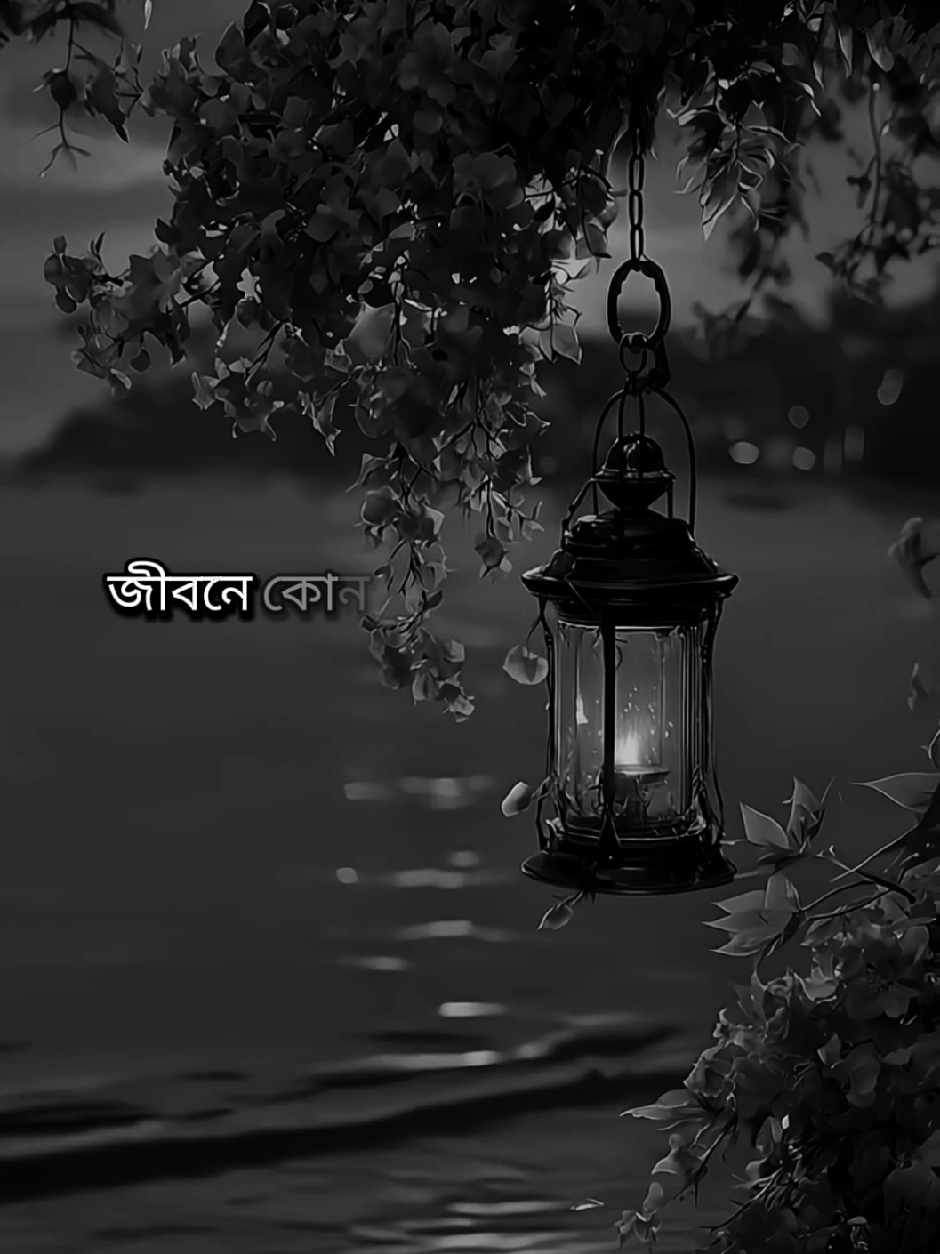 #আনিসুর_রহমান_আশরাফী💖💖 #foryoupage #foryou #islamic #1million @TikTok @Creator Portal Bangla @For You House ⍟ 