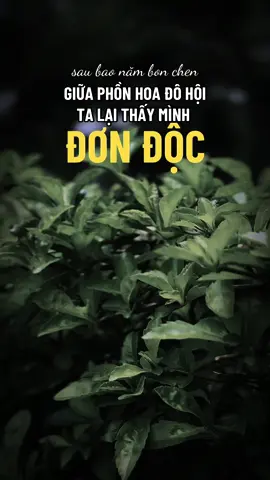 Bao năm bon chen nhiều lúc bỗng thấy mình đơn độc #ngộ_để_an #phatphapnhiemmau #trending #xuhuongtiktok #cliptrieuview 