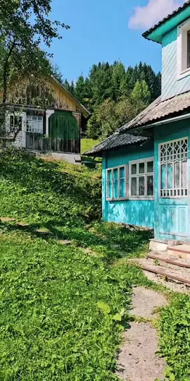 #tiktoklive #livehighlights 