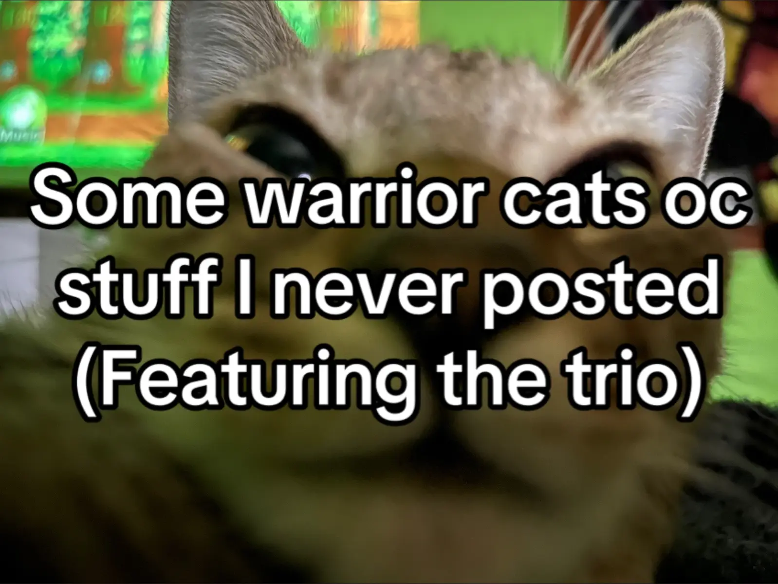 #warriorcat #warriorcats #warriorsoc #warriorcatsoc 