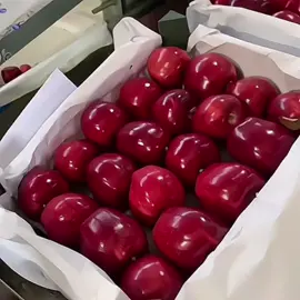 Fresh. Crisp. Naturally sweet.  Proud to share our premium-quality apples, carefully grown and hand-picked to meet international export standards. Bringing the taste of freshness from our orchards to global markets.  #AppleExport #FreshApples #FruitExport #AgroBusiness #GlobalTrade #InternationalMarkets #ExportQuality #FreshProduce #SupplyChain #FoodExport