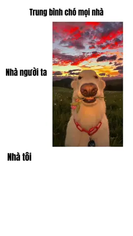 Dễ thương#xuhuong 