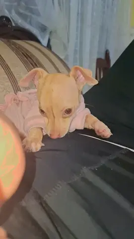 te amo mucho mamita 💕 