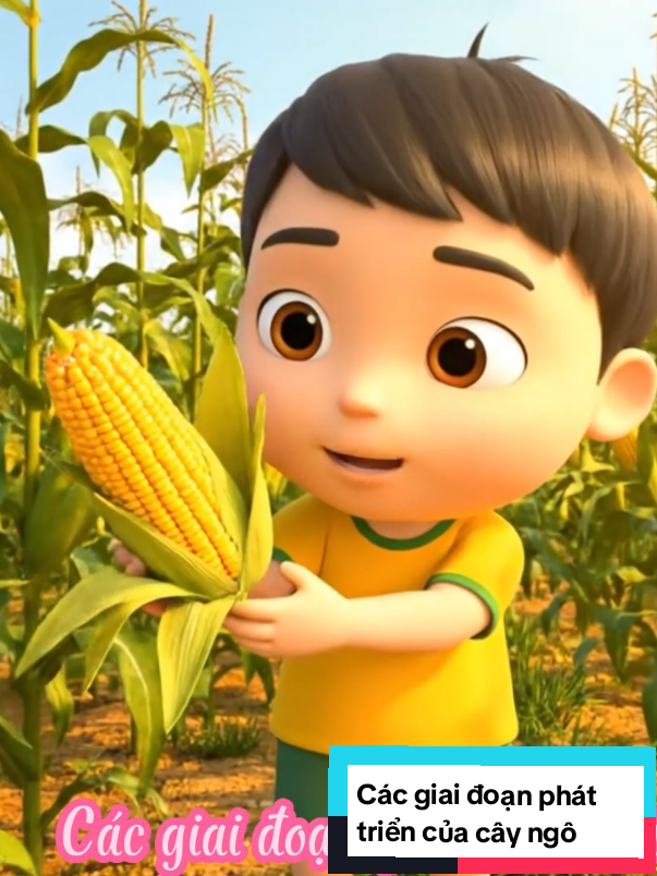 Cùng sáng tạo video để dạy học sinh nào video sự phát triển của cây ngô siêu đáng yêu phải không😀😀😀 ai muốn làm video như này ib mình hướng dẫn nhé #xuhuong #tranlymamnon66 #giaovien #tranlymamnon66 #ai 