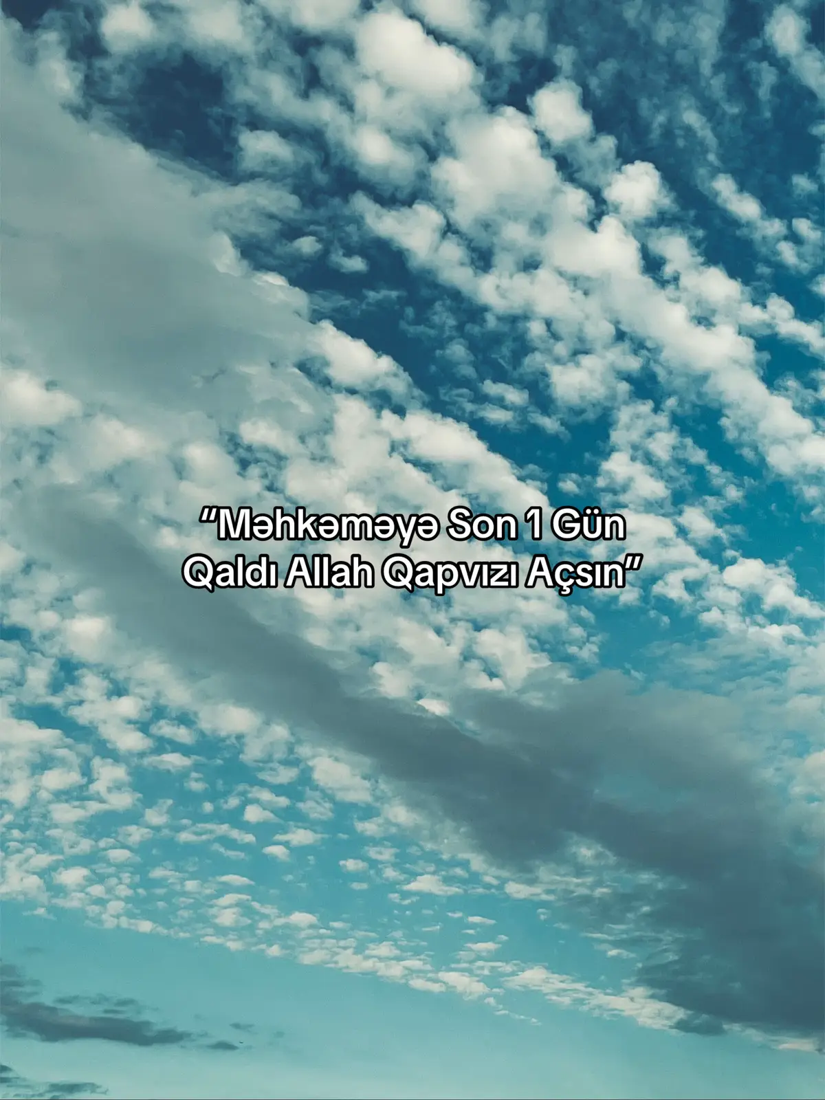 Son 1 gün)