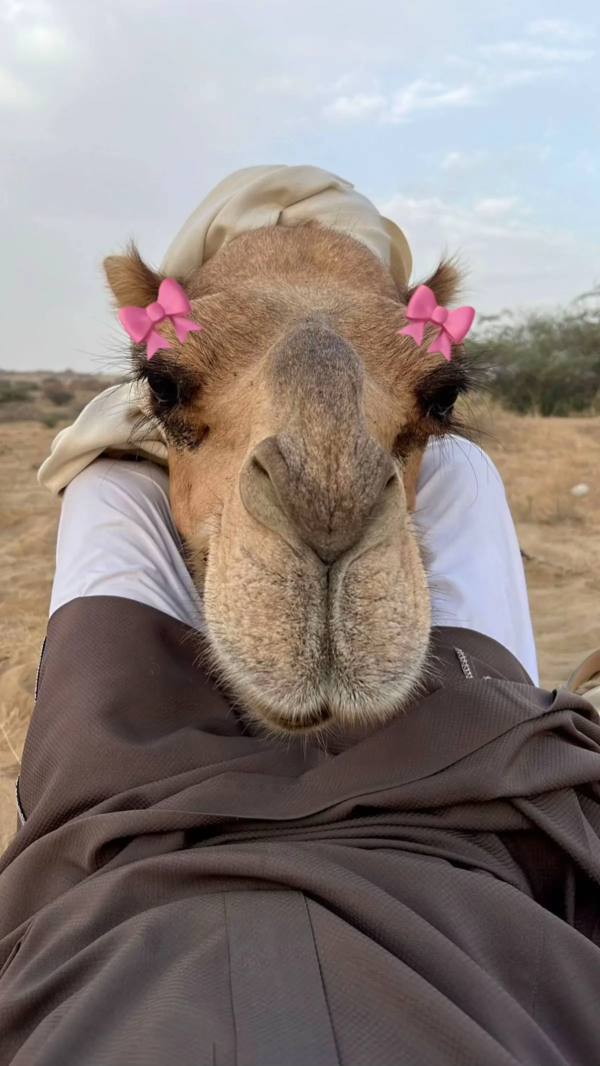 #البل_طراة_الروح #خميس_حرب 