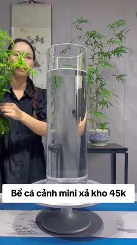 bể kính đẹp sang 