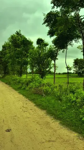 What zodiac sign do people naturally enjoy this feeling?#fyp 