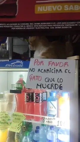 #parati #gaticos #fyp 