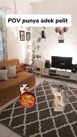 siapa yang punya adek kayak gini? #kucing #kucinglucu #memekucing #kucingmeme #catlovers 
