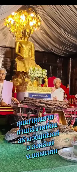 #เทพี ##เทรนด์มาแรงในวันนี้ #เทพีบ้านไพร 