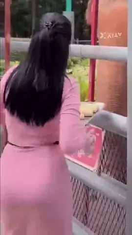 🌸💃✌️ရေစီးကြောင်းသံယောဇဥ်🌸💃✌️