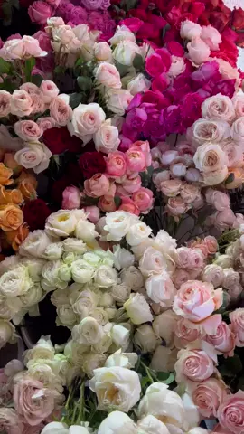 #flowers #flower #fy #trend 