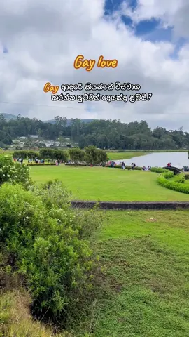 #විශ්වාස_කරන්න_පුළුවන්_දෙයක්ද?#gay #boylove #lgbtq🏳️‍🌈 #BL 🫶🏻🫂♥️🌈🏳️‍⚧️