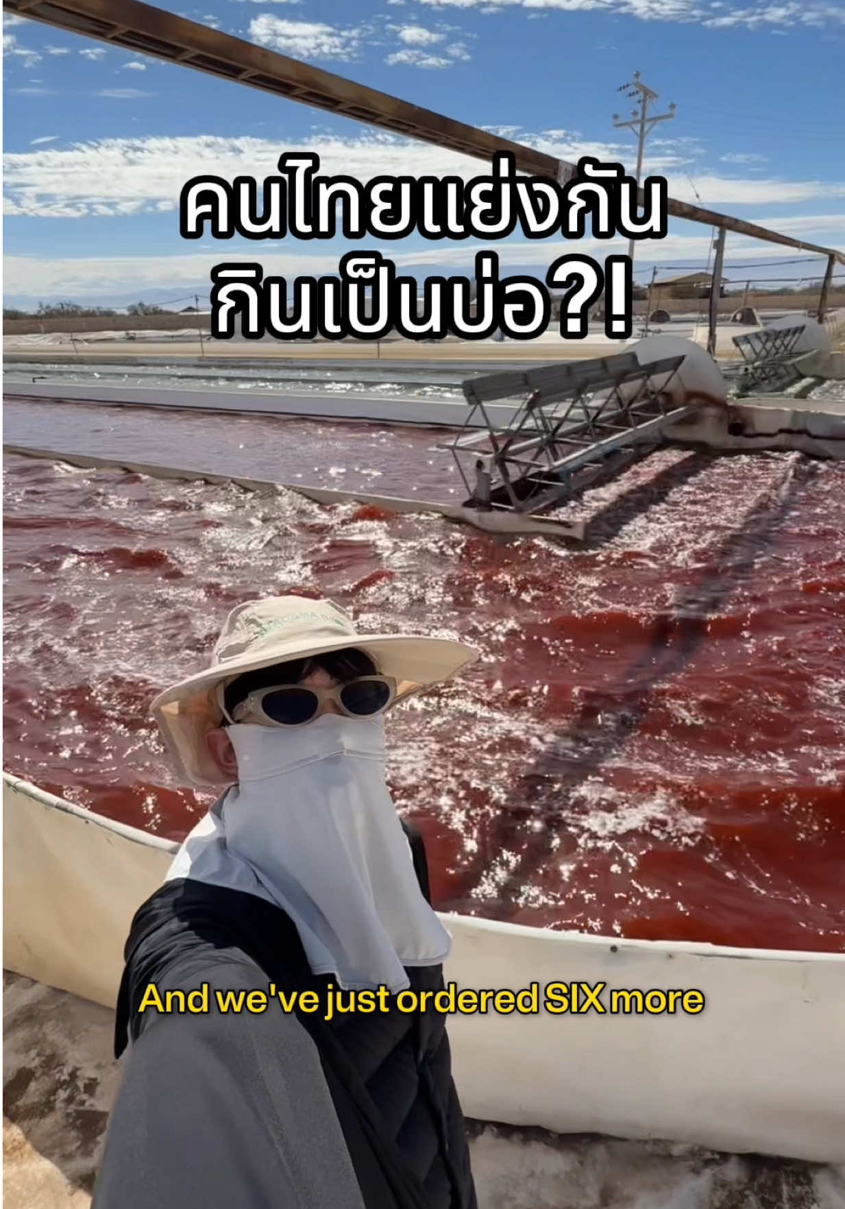 ใครเคยรู้บ้างว่าสาหร่ายที่คุณภาพดีที่สุดปลูกกันกลางทะเลทราย?! 🌵 วันนี้บินมาไกลบ้านที่สุดในชีวิตเพื่อดูกับตา แอสต้าโปรไฟล์พิเศษแบบธรรมชาติคัดสรร ช่วยชะลอวัยและความเสื่อมของเซลล์ ผิวลื่น ชุ่มชื้น ที่เราเลือกใส่ใน IN U Astanext+ 💚 1 กระปุก 30 เม็ด ทานแค่วันละเม็ดก็เริ่มเห็นผล ของเติมแล้วนะครับ! @IN U Supplement  What a trip! Who knew some of the best seaweed was grown in the middle of the desert 🌵 The harsh sun of the Atacama is the perfect environment to grow this special seaweed which is able to produce a unique profile of Astaxanthin and Carotenoid Complex that helps protect the body! 🙌🏻💯 #inguskin #inusupplement #beauty #อาหารเสริม #astaxanthin 
