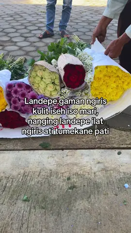 HALLO SAHABAT MITRA🌹 Masih bingung mau cari bunga fresh dimana?? ayo buruan di order!!! kami siap kirim ke seluruh wilayah lo….  Yang tentunya amanah, termurah dan terpercaya,  Soal kualitas “MITRA BUNGA” berani garansi untuk semua bunga yang dikirim  Ayo segera list dan dapatkan banyak bonusnya 📍bandungan semarang  📞 0882003503481 IG : mitrabungabandungan #fyp #fypツviral #bandungansemarang #freshflowers #munculberanda 