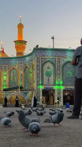 #السلام_عليك_يا_ابا_الفضل_العباس_ع  #ياعباس_دخيلك_تسمعني_وادري_ماتخي  #tik_tok #pleaseunfrezzemyaccount  #viralvideo🔥 