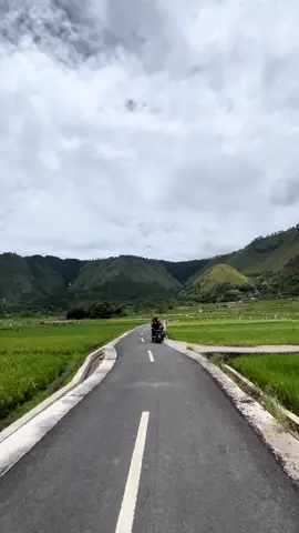 Sudah menghijau kembali guys Yuk rencanakan liburan mu beraama orang tersayang ke Samosir🥰🤩 #persawahan #fyp #vrylinhomestay #penginapanvrylin #samosir 