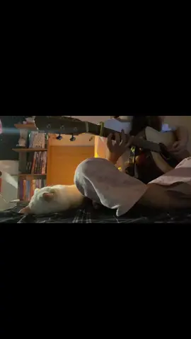 Mashup linh tinh - Ep 2 #KiNg #cover 