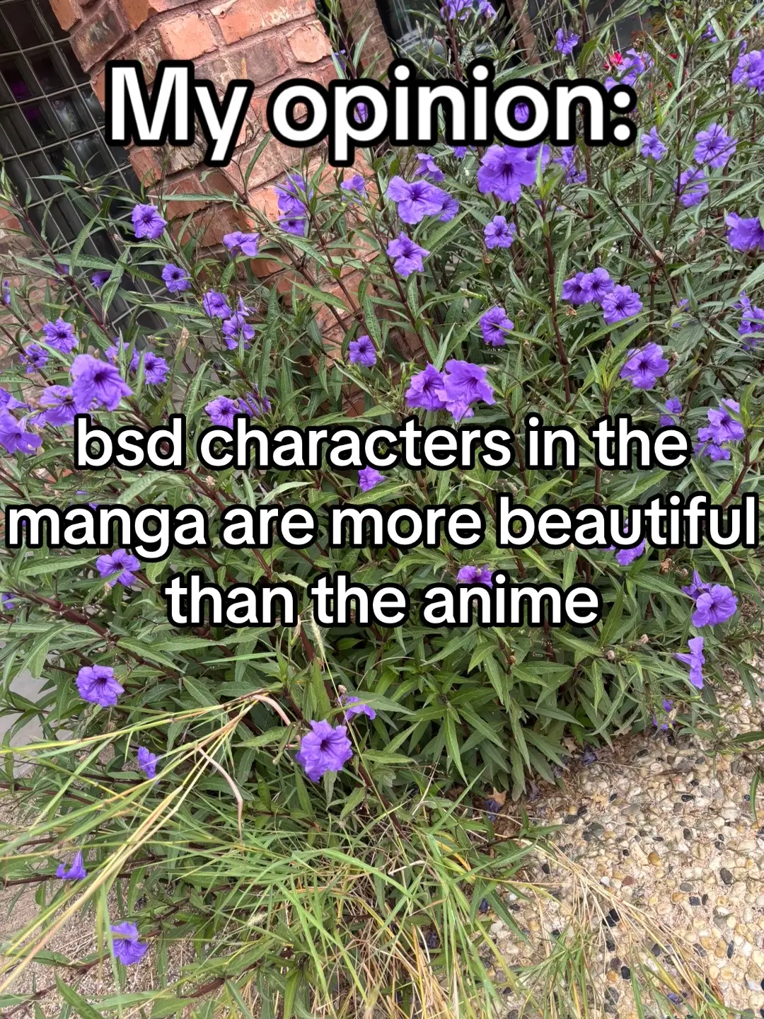 srry for the bad images they're stretched out a bit but i was too lazy to change that #bsd #bungostraydogs #bsdcharacters #beautiful #bungostraydogscharacters 