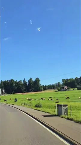 The road to Engelberg, Switzerland. #Engelberg #switzerland🇨🇭  #Switzerland  #Swiss 