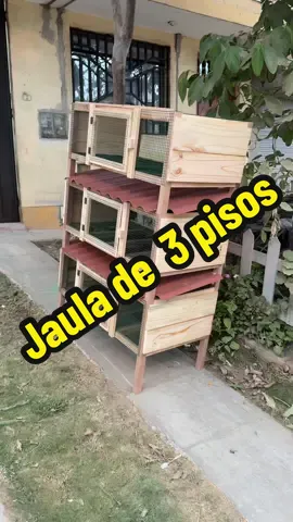 Jaulas para Cuyes en 3 pisos forrado malla y madera  #jaulasparacuyes  #viraltiktok  #paratiiiiiiiiiiiiiiiiiiiiiiiiiiiiiii  #fyp  #creatorsearchinsights 