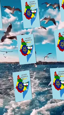 #ethiopian_tik_tok🇪🇹🇪🇹🇪🇹🇪🇹 #one Ethiopia one people one government one flag 🇪🇹💪🇪🇹💪❤️