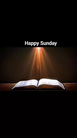 Happy Sunday 