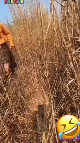 virall..!!dapet rezeki #masukberandafyp  #moots  #videolucungakak  #masukberandafyp  #trenlucu 
