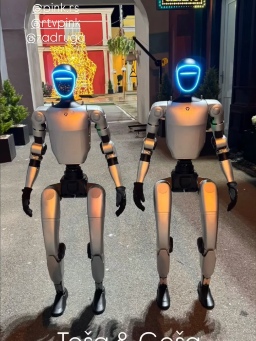 Prvih 12 učesnika rijalitija 