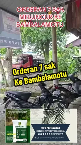 #npkagrosawitsulbar #pupuknpkagrosawit #peluangusaha #pasangkayu_sulbar 