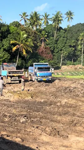 MATATIZO NI KIPIMO CHA AKILI🤯