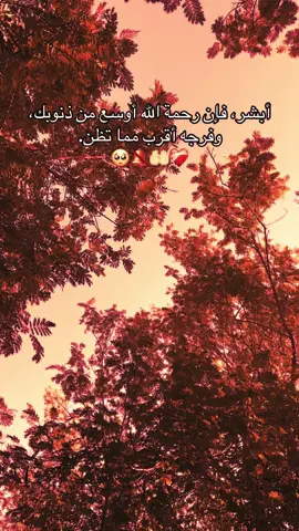 #الصلاة #الصلاة_والسلام_عليك_ياحبيبي_يارسول_الله #الشيخ #الحمدلله_دائماً_وابداً #اللهم_صلي_على_نبينا_محمد #لاحول_ولا_قوة_الا_بالله #