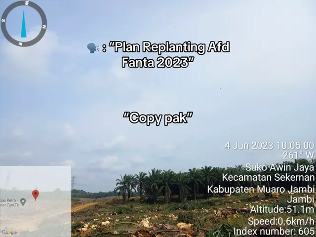 Kita Spill perjuangan 2023-2025 #fypシ゚ #planters #jambipride #sawitontiktok #asistenkebunsawit🌴🌴🌴 