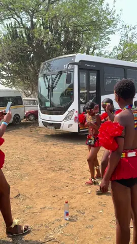 Umkhosi woMhlanga 2025, esiGodlweni esisha, eMaShobeni kwaNongoma @King Misuzulu kaZwelithini #umkhosiwomhlanga #misuzulukazwelithini #zuma #emashobeniroyalpalace #fypシ゚viral 