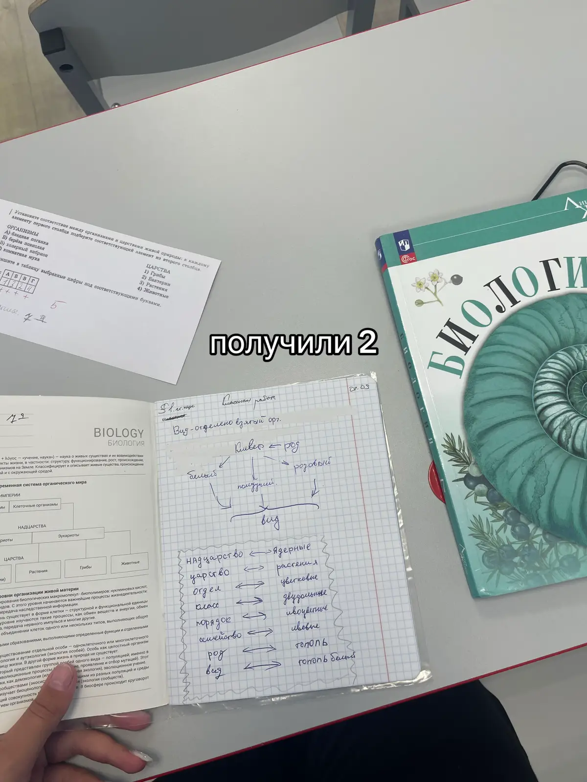#рекомендации #рек