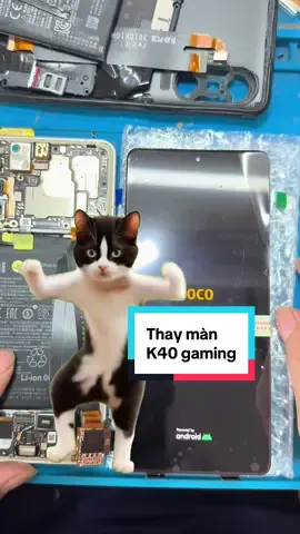Khách gửi thay màn k40 gaming tặng bánh bía#tiktok #xuhuong #suadienthoai #k40gaming 