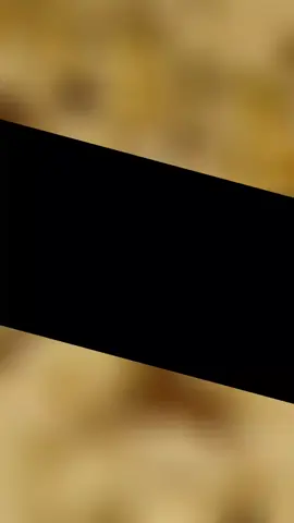 segera di tayangkan ...  #peternaksapiindonesia #broilerfarm #peternakmuda 