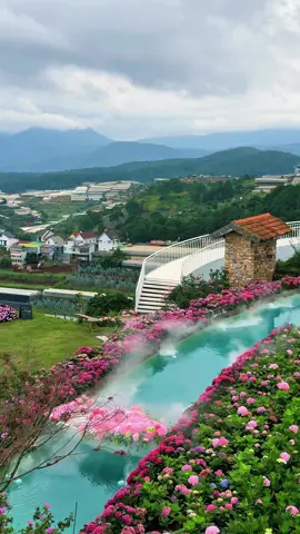 Thả hồn theo gió, tận hưởng sự bình yên ở Đà Lạt #chuyencuanang #dalat